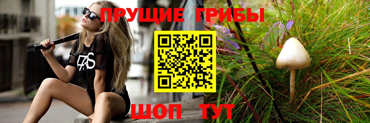 Псилоцибиновые грибы мицелий  Вход с VPN  Киржач  Галлюциногенные грибы Cubensis 