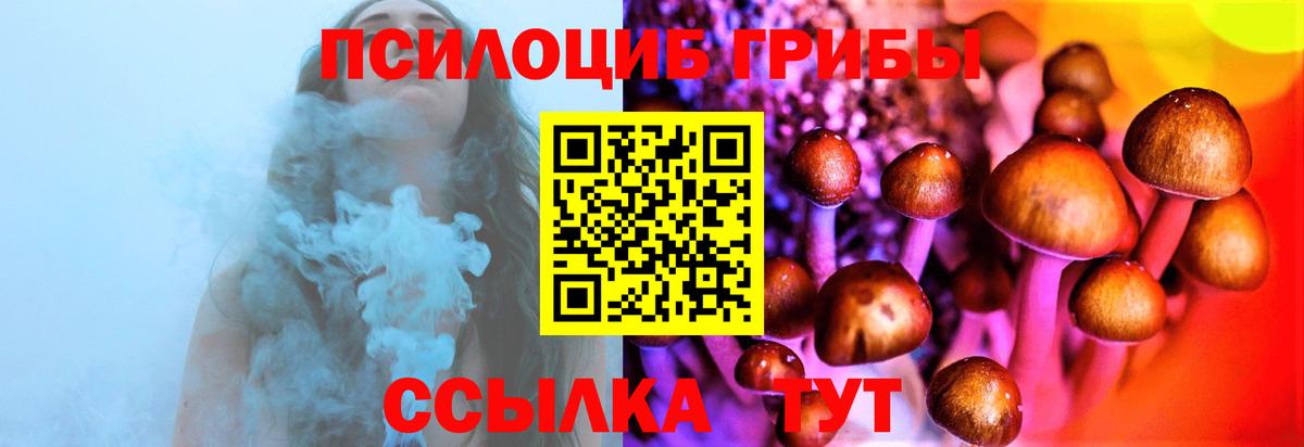 Галлюциногенные грибы Psilocybine cubensis Киржач